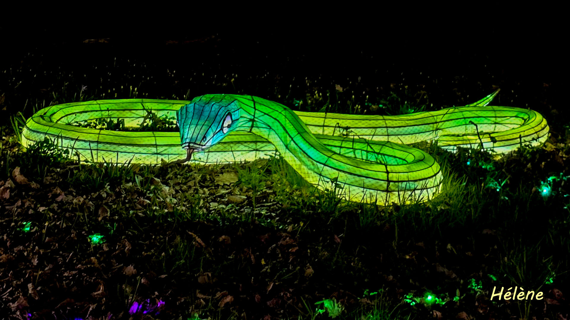 THOIRY -Illumination ,  Lumières sauvages 2025-2026